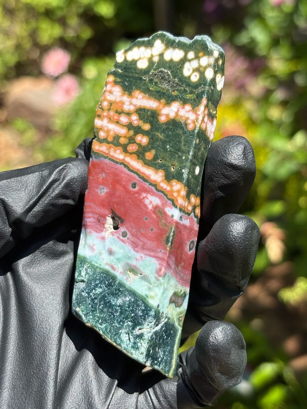 Colorful Ocean Jasper Slab - Druzy Sea Jasper - Polished Orbicular Jasper